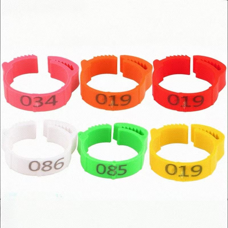Photography Duck - 100pcs Chicken Foot Ring Label Buckle