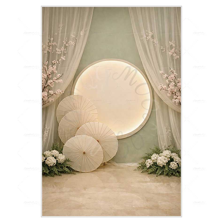 New ChineseStyle Photography B - Photography Umbrella Light 评论和价格