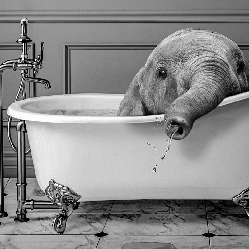 Black and White Animals Bathro - Photography Duck 评论和价格