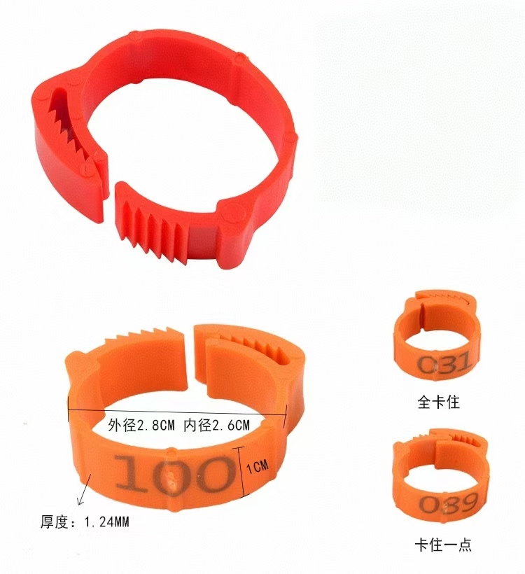 100pcs Chicken Foot Ring Label - Photography Duck 评论和价格