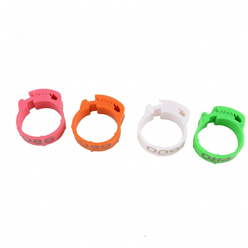 100pcs Chicken Foot Ring Label - Photography Duck 评论和价格