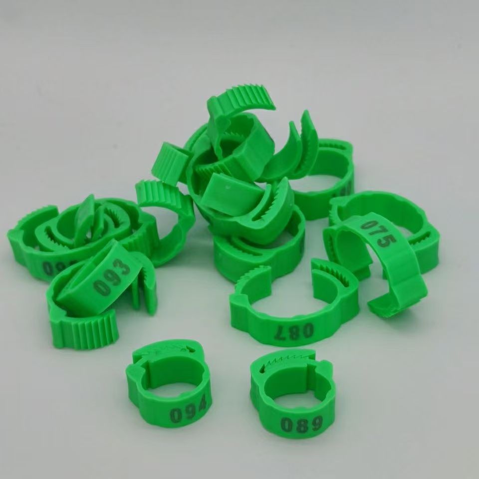 100pcs Chicken Foot Ring Label - Photography Duck 评论和价格